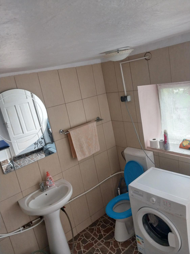 Bathroom 5, Rustic Sejour Casa Mountain Sanctuary,Rosia Montana, Rosia Montana