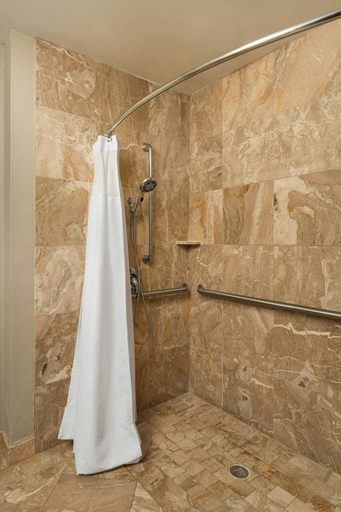 Bathroom 4, SpringHill Suites by Marriott Tampa Westshore Airport, Hillsborough