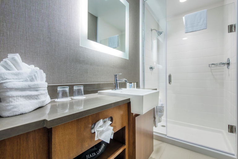 Bathroom 5, SpringHill Suites by Marriott Gallup, McKinley