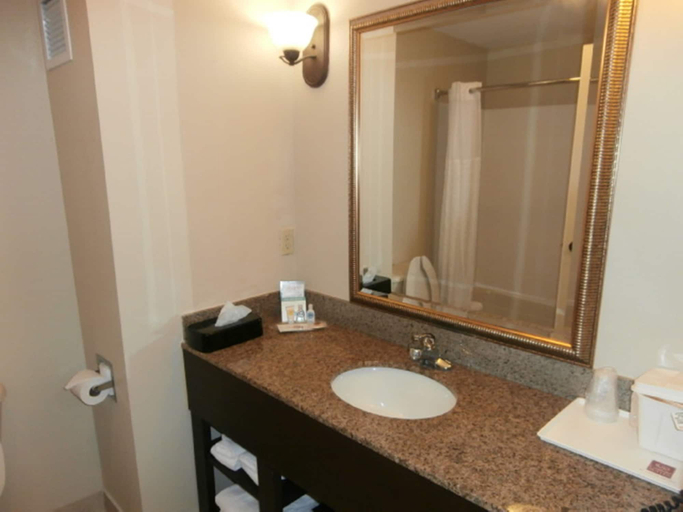 Bathroom 4, Comfort Suites Savannah North I-95, Chatham