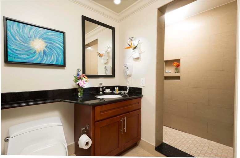 Bathroom 5, Divi Village Golf & Beach Resort