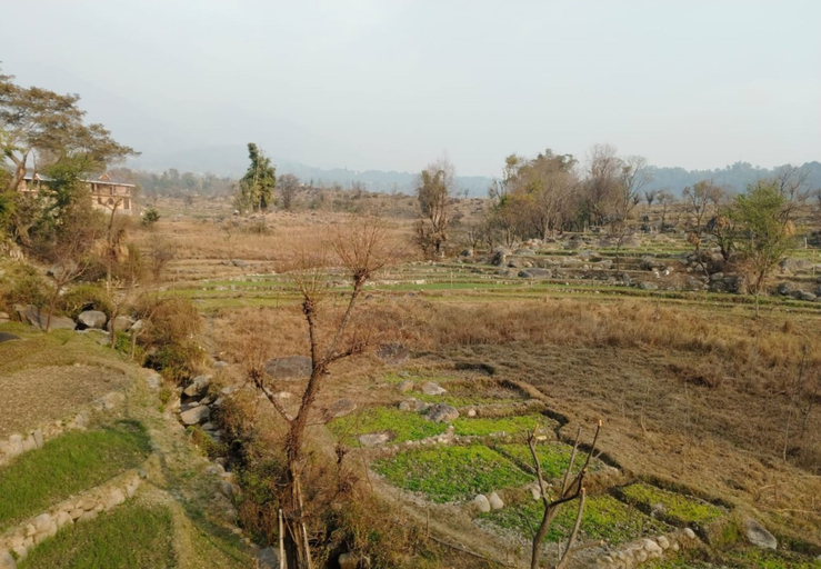 Others 3, Goroomgo The Woodz Dharamsala, Kangra