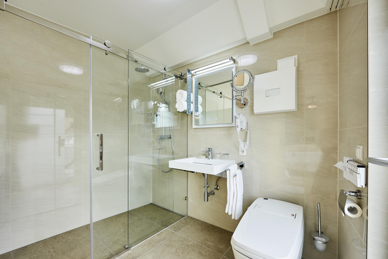 Bathroom, Bodensee, Bregenz