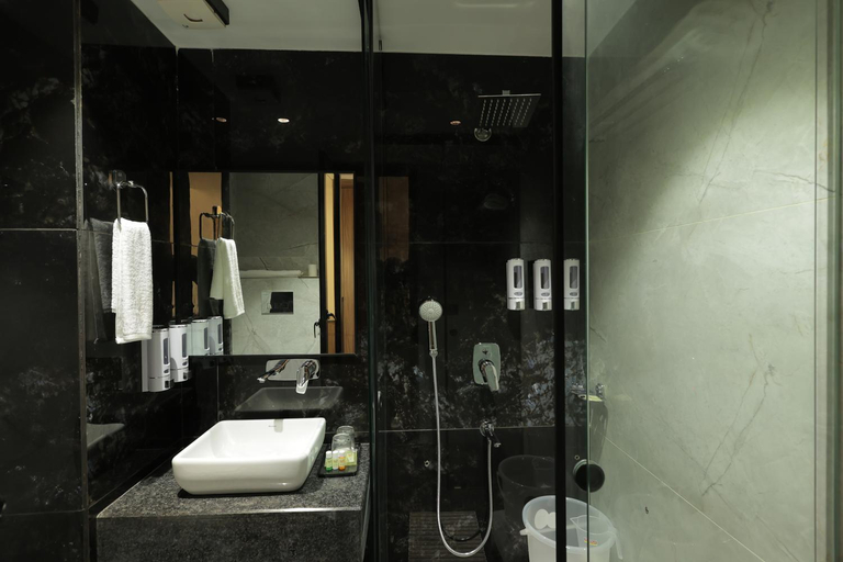 Bathroom 3, SNJ Taj Grand, Agra