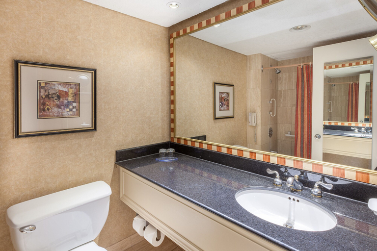 Bathroom 4, Hôtel Le Concorde Québec, Communauté-Urbaine-de-Québec