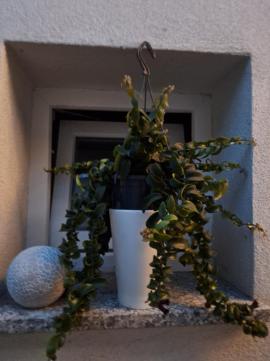 Others 4, Studio apartmani Louis i Lola, Zagreb