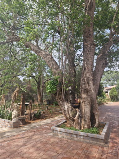 Others 4, Epicure Home Guesthouse, Ekurhuleni