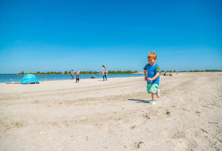 Beach, Chic Stay by the Water, Medemblik