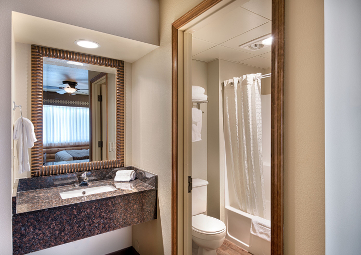 Bathroom 3, Denali Princess Wilderness Lodge, Denali