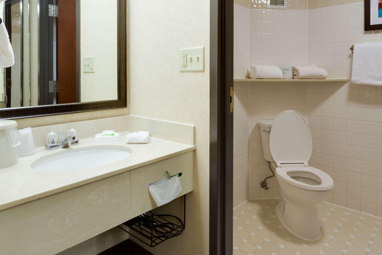 Bathroom, Pear Tree Inn Sikeston, Scott