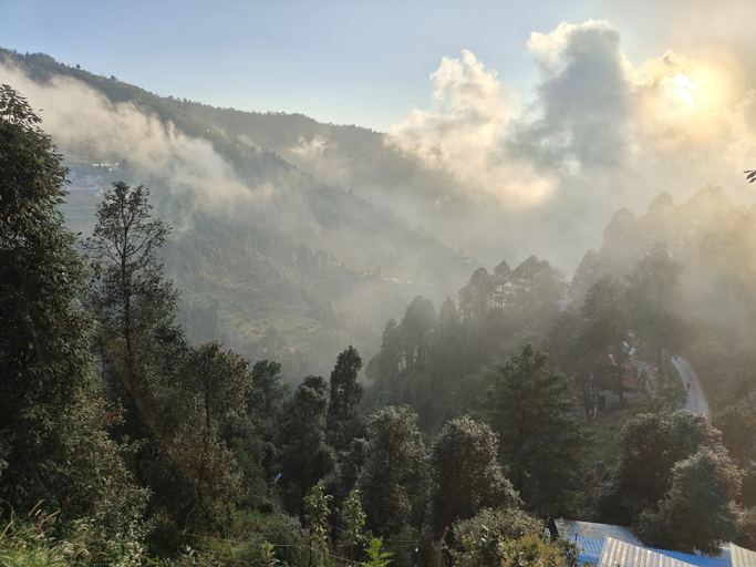 Others 2, Himwanderer Camps and Cottages Pangot, Nainital