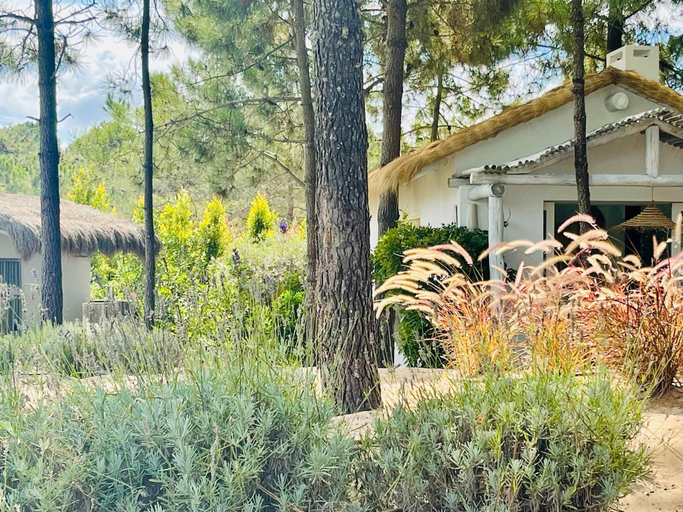 Room 5, Cabana Lavanda Comporta by Boutique, Grândola