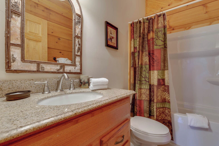 Bathroom 3, Bearly Heaven, Sevier
