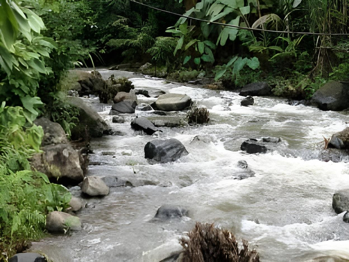 Others 5, Raj Estate Stay, Kodagu