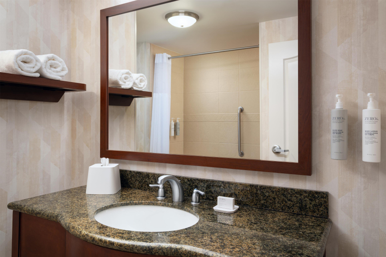 Bathroom 4, Hampton Inn & Suites Knoxville-Turkey Creek/Farrag, Knox