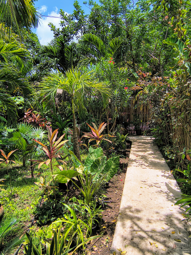 Public Area 3, Hotel & Suites Oasis Bacalar, Othón P. Blanco