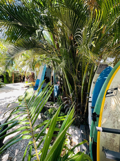 Others 5, Surf Paradise, Puntarenas
