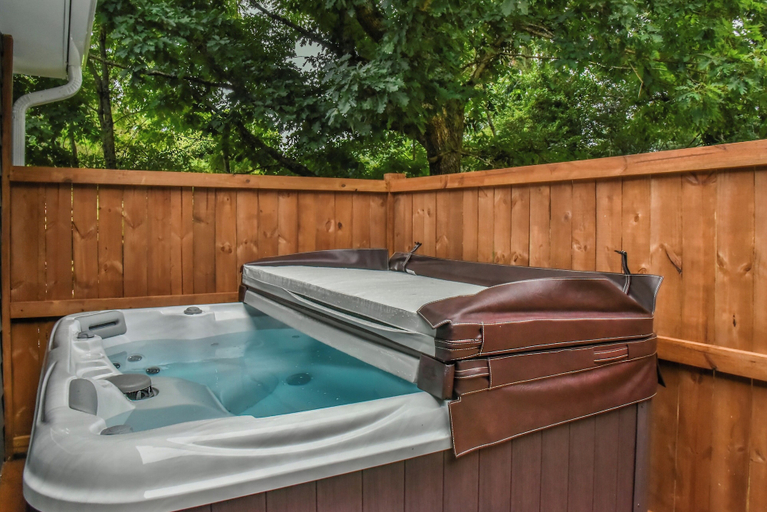 Others 4, Grey Eagle Cottage with Hot Tub, Buncombe