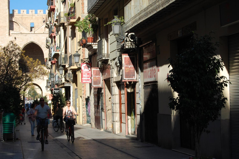 Others 5, Eco-Friendly Apartments, Valencia