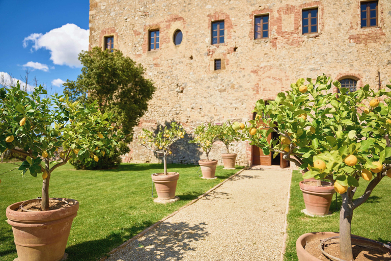 Exterior & Views 2, Sant'Anna in Camprena Agriturismo, Siena