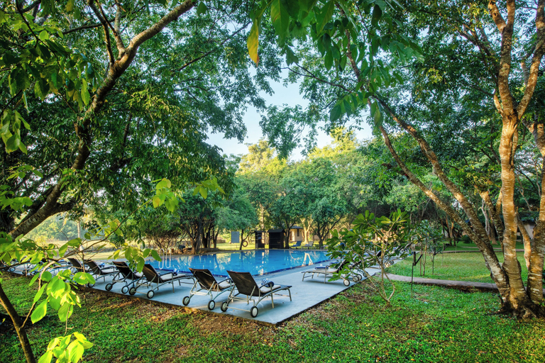 Sport & Beauty 3, Kassapa Lion Rock, Dambulla