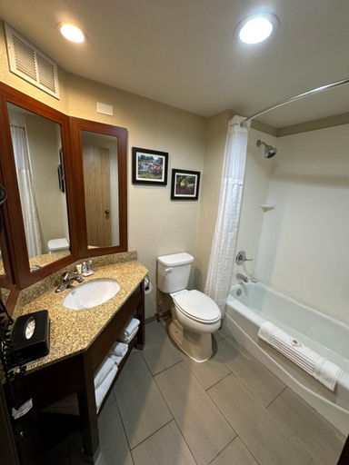 Bathroom 4, Comfort Inn Wichita Falls North, Wichita