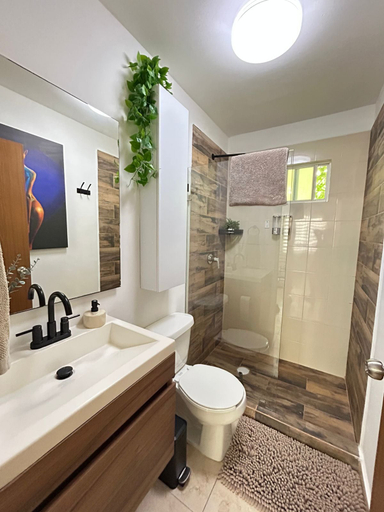 Bathroom, departamento torrent, Cozumel