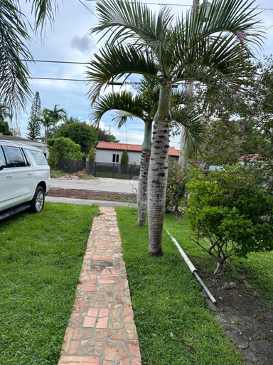 Others 2, Cozy Corner, Miami-Dade