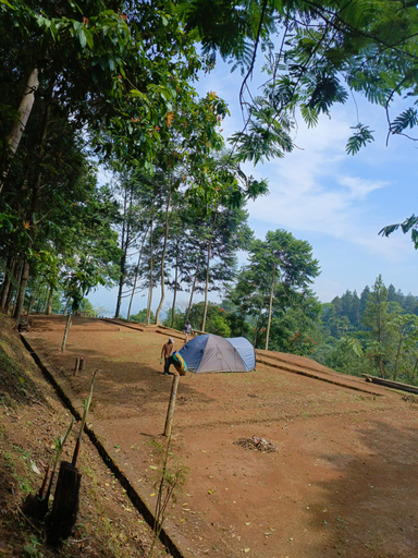 Scenery 1