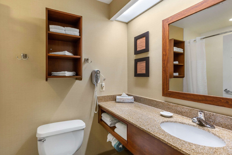 Bathroom 4, Comfort Inn & Suites North Conway, Carroll