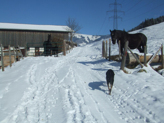 Others 2, Bamerhof, Zell am See