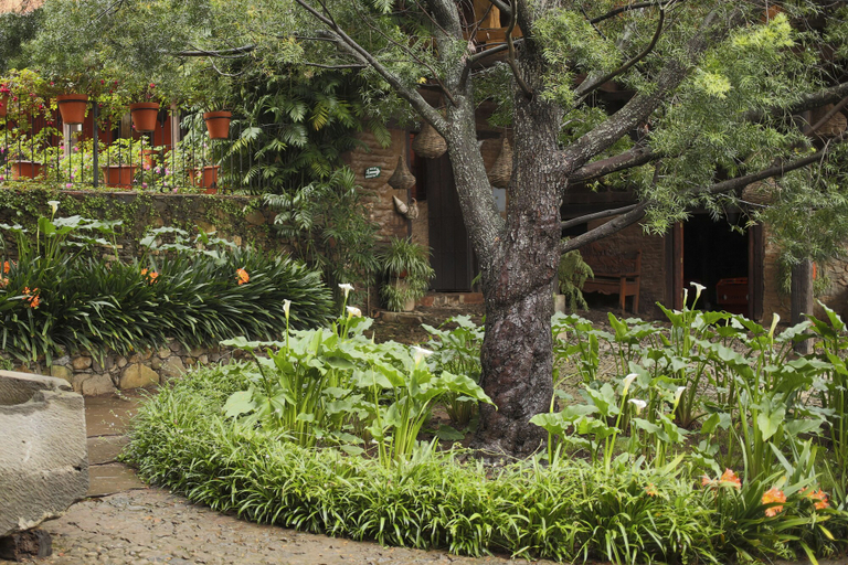 Others 4, Hotel La Casa de Maty, Tapalpa