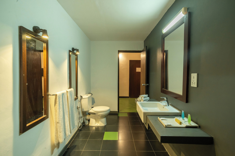 Bathroom 5, Kassapa Lion Rock, Dambulla