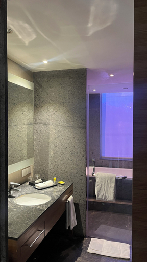 Bathroom 5, Hyatt Place Hampi, Bellary