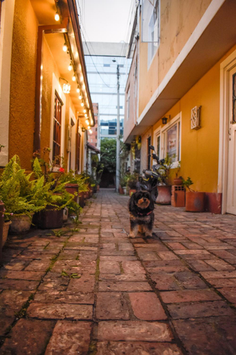 Others 3, Usaquen Station Hostel, Santafé de Bogotá