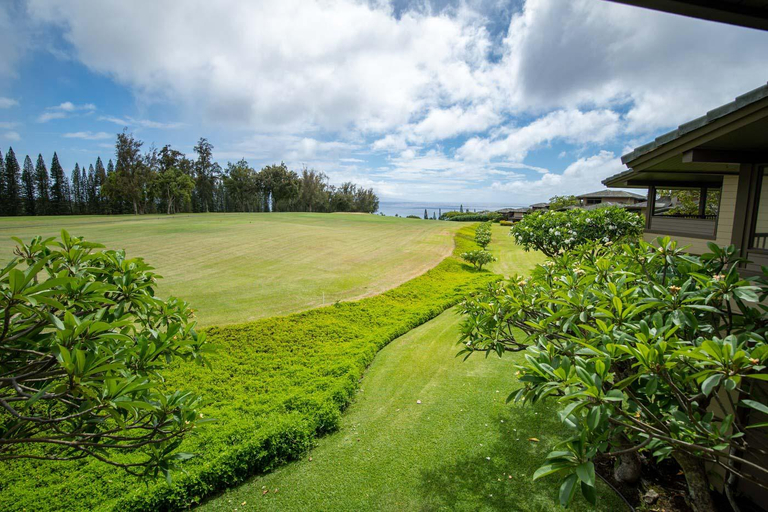 Scenery 11