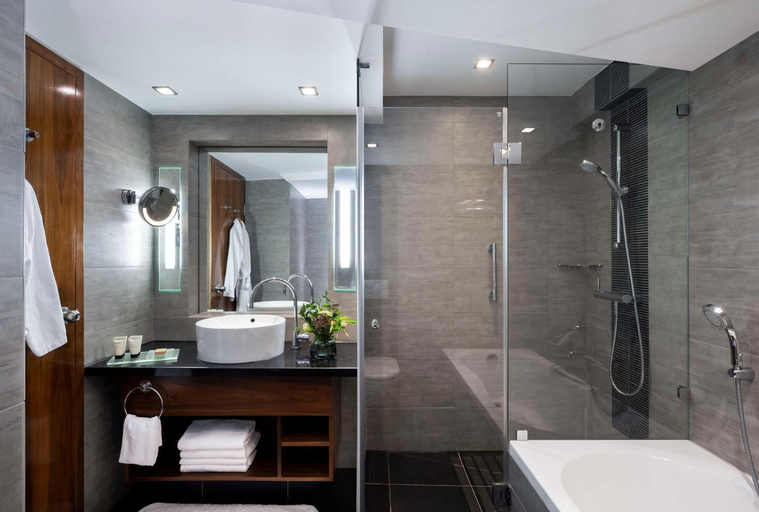 Bathroom 5, Hilton Tel Aviv
