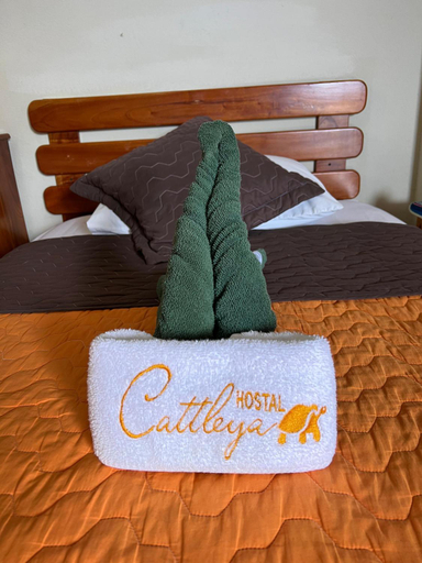 Others 2, Hostal Cattleya, San Cristóbal