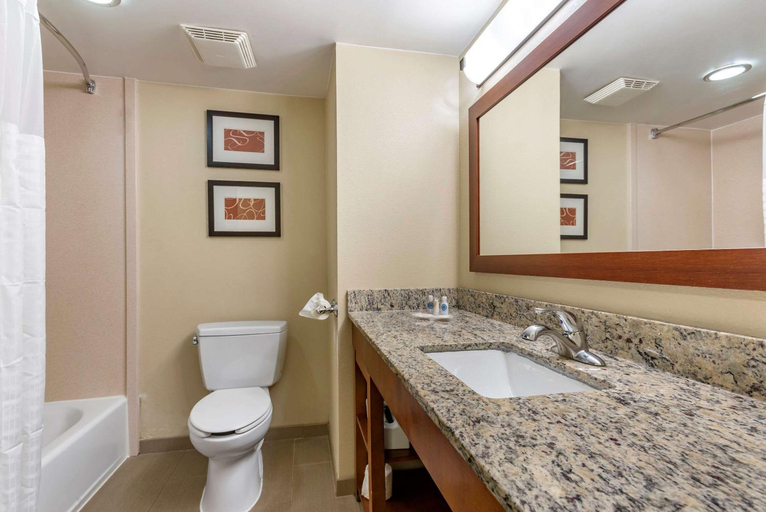 Bathroom 4, Comfort Suites Newark - Harrison, Newark