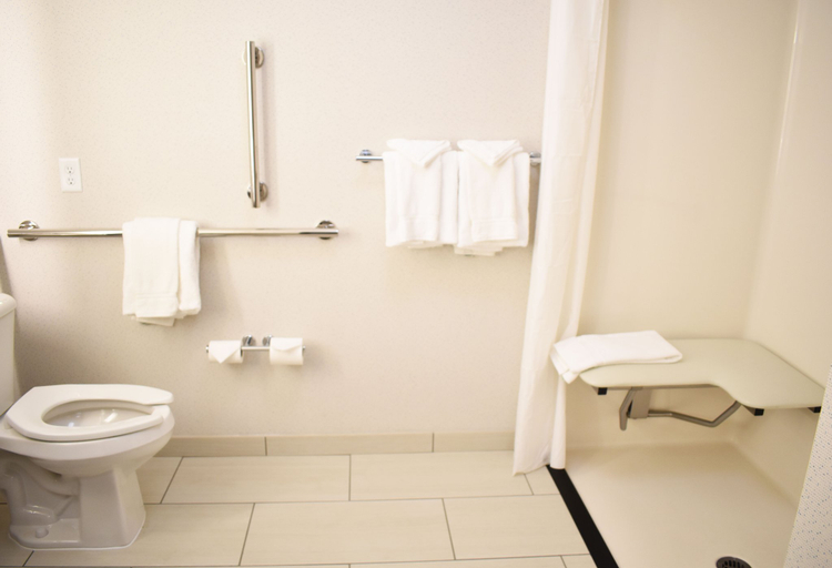 Bathroom 5, Holiday Inn Express & Suites ALBANY by IHG, Linn