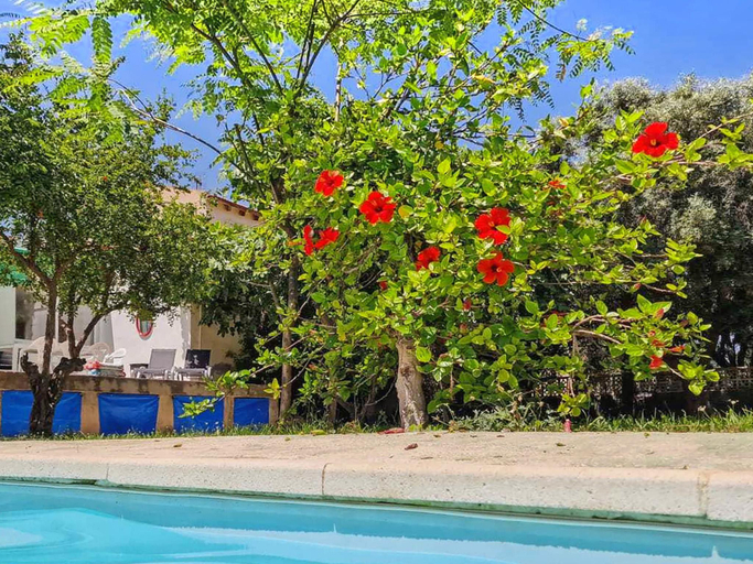 Sport & Beauty 2, House with exclusive pool and garden 7 min walk from the beach and the center, Alicante