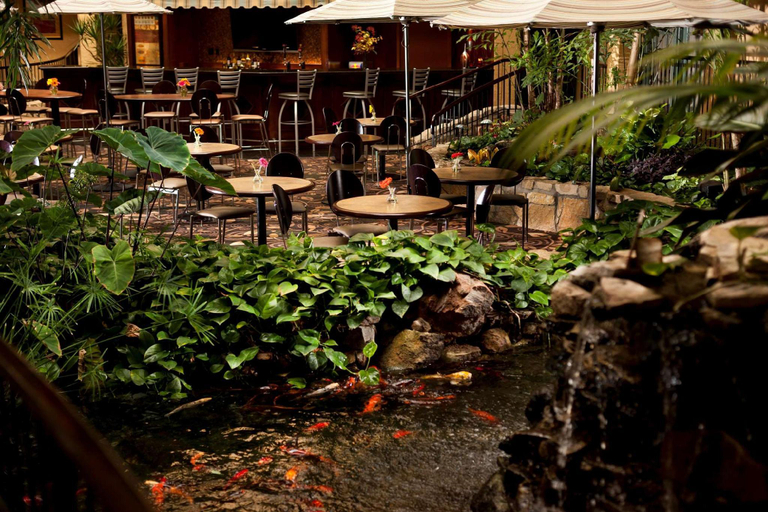 Food & Drinks 5, Embassy Suites by Hilton Lubbock, Lubbock