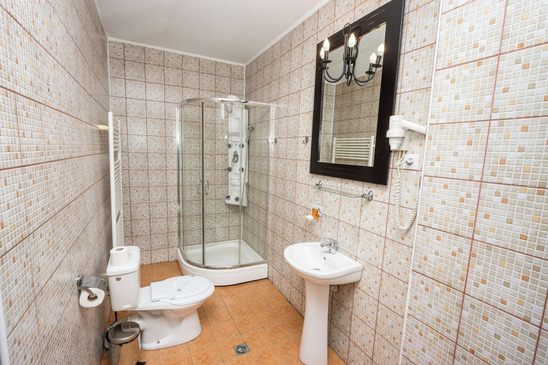 Bathroom 4, Pensiunea Rhein, Azuga
