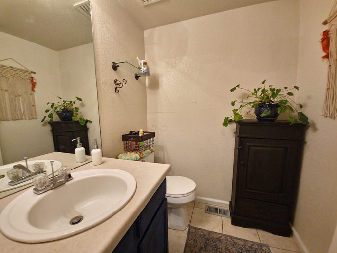Bathroom 4, Casa de gato, Adams