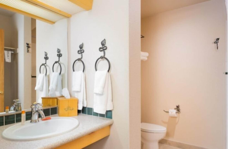 Bathroom 3, Selkirk Lodge, Bonner