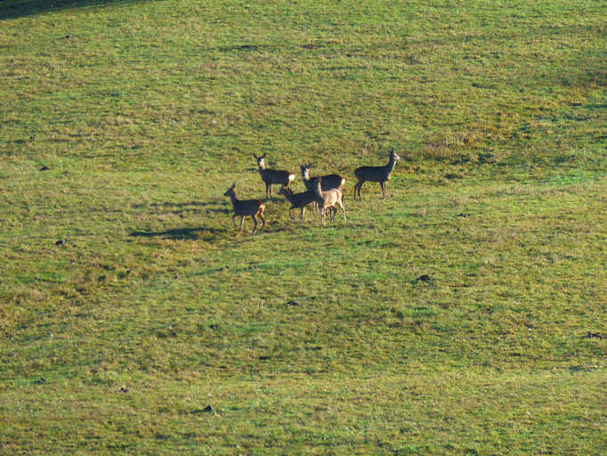 Others 4, Gîtes Domaine de la Rochère, Ain