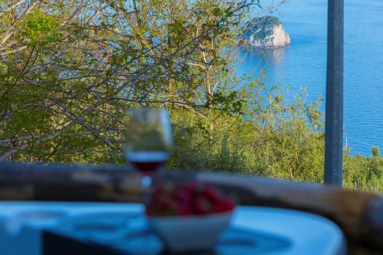 Food & Drinks 5, Villa Ambra in Massa Lubrense, Napoli