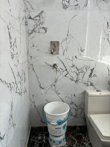 Bathroom 3, Hotel Akash Continental, Delhi