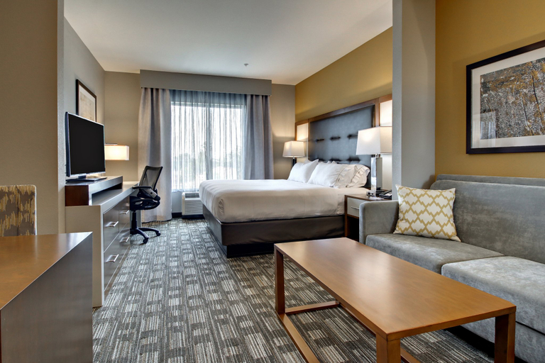 Bedroom 4, Holiday Inn Express & Suites ALBANY by IHG, Dougherty