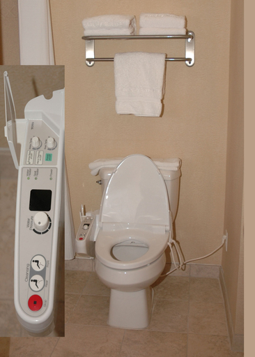 Bathroom 5, Holiday Inn Express & Suites AUBURN HILLS by IHG, Oakland